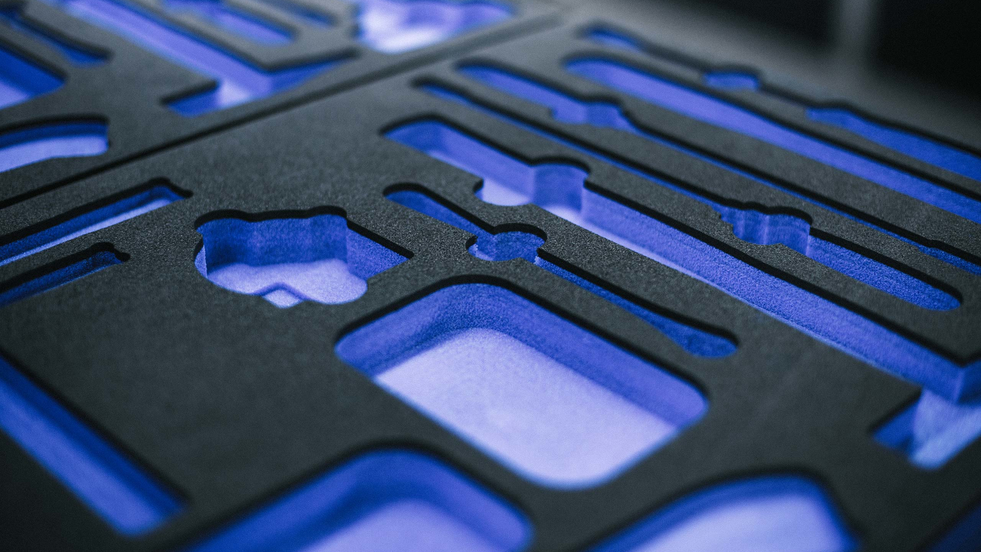 Foam insert for transport security