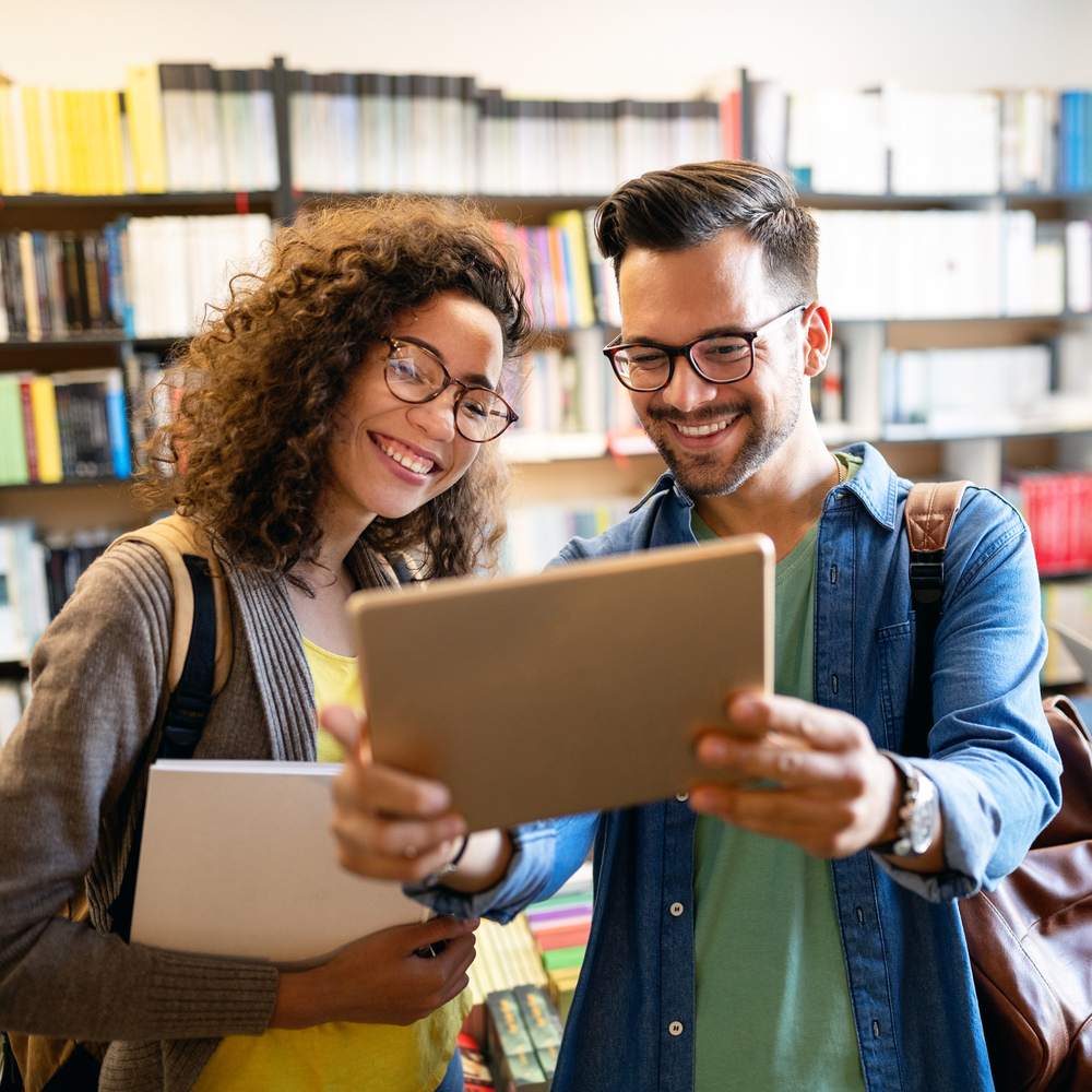 Project coordination within the team